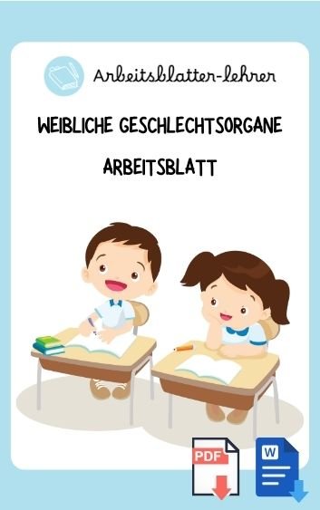 Männliche Und Weibliche Geschlechtsorgane Arbeitsblatt Pdf Weibliche Geschlechtsorgane Arbeitsblatt - Als PDF oder Word